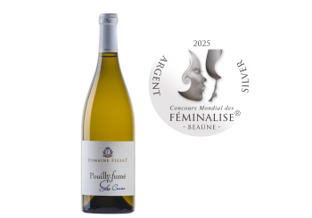 CONCOURS MONDIAL DES FEMINALISE 2025 (mars 2025)